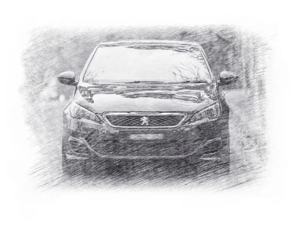 Peugeot Touring Wagon Estate Series